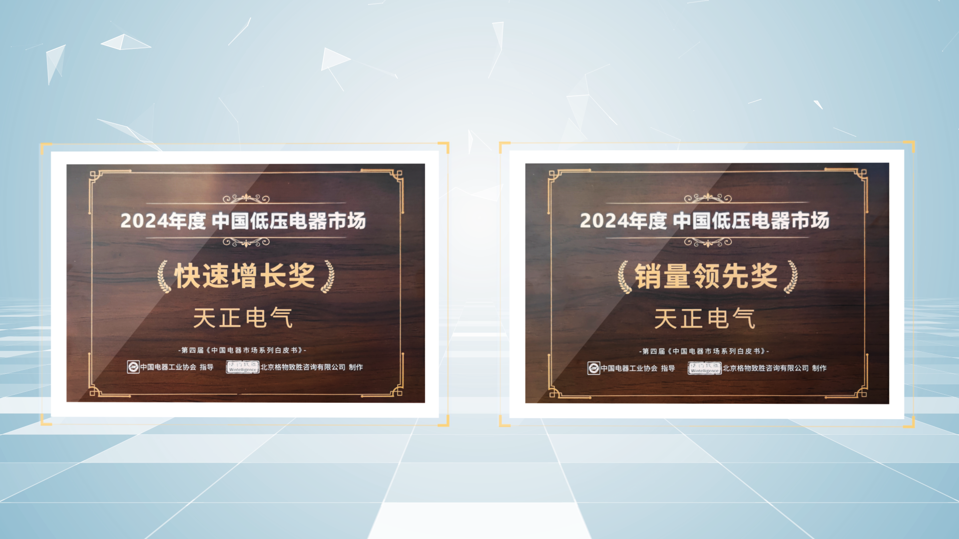 销量领先、快速增长丨im电竞荣膺2项行业年度大奖